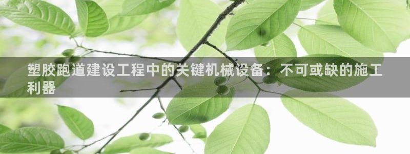 z6尊龙凯时官方：塑胶跑道建设工程中的关键机械设备：不可或缺的施工
利器