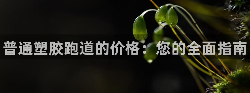 尊龙凯时始人生就是博：普通塑胶跑道的价格：您的全面指