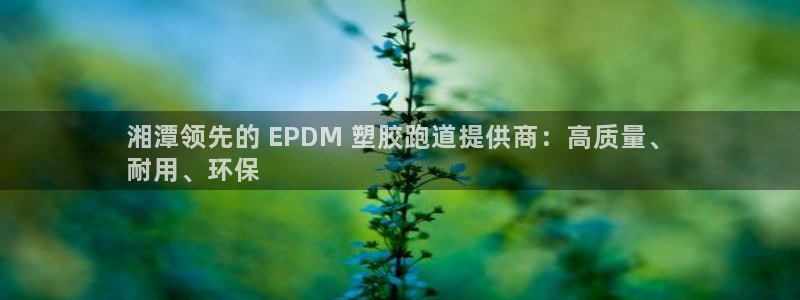 尊龙凯时人生就是搏z6com：湘潭领先的 EPDM 塑胶跑道提供商：高质量、
耐用、环保