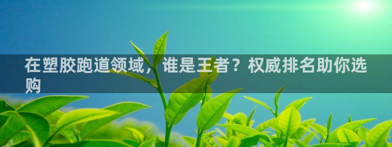 尊龙网址登录官网：在塑胶跑道领域，谁是王者？权威排名助你选
购