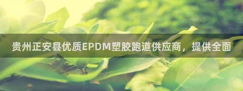 尊龙凯时人生就是搏技术实力：贵州正安县优质EPDM塑胶跑道供应商，提供全面