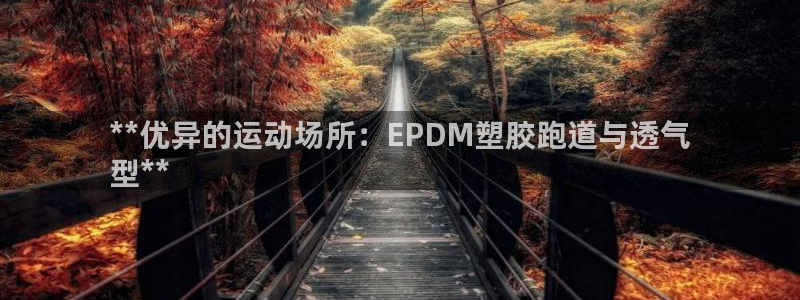 尊龙凯时ag旗舰厅试玩：**优异的运动场所：EPDM