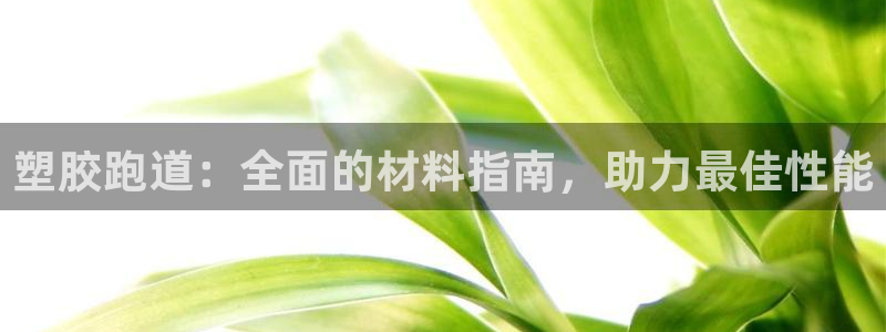 尊龙官方网站：塑胶跑道：全面的材料指南，助力最佳性能