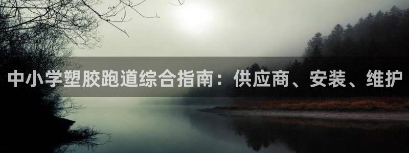 尊龙集团有限公司是国企吗：中小学塑胶跑道综合指南：供应商、安装、维护