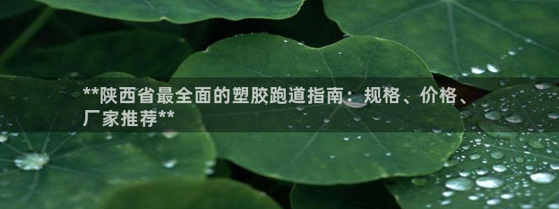 尊龙集团有限公司招聘：**陕西省最全面的塑胶跑道指南：规格、价格、
厂家推荐**