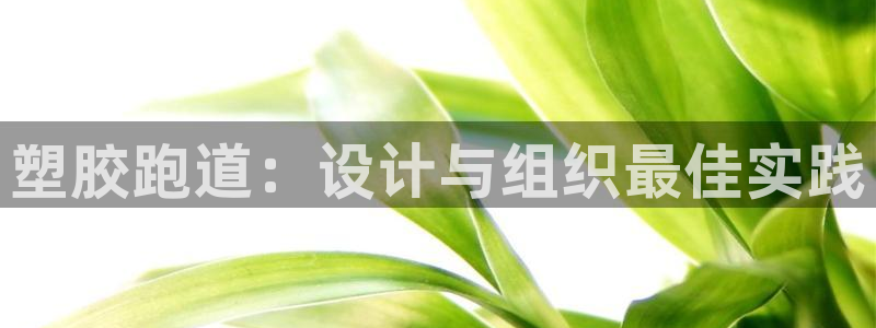 尊龙d88手机app免费下载：塑胶跑道：设计与组织最