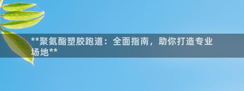 尊龙z6：**聚氨酯塑胶跑道：全面指南，助你打造专业
场地**