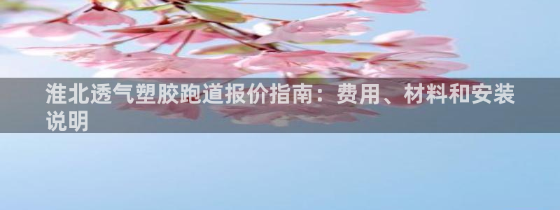 尊龙现金d88：淮北透气塑胶跑道报价指南：费用、材料