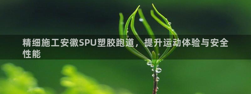 尊龙物流怎么样：精细施工安徽SPU塑胶跑道，提升运动体验与安全
性能